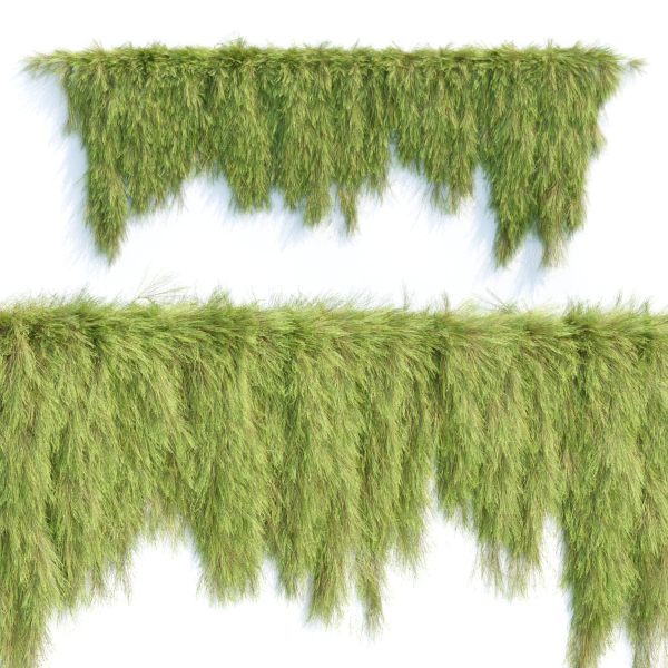 Creeper plants for wall collection vol 144