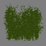 Creeper Plants vol 100