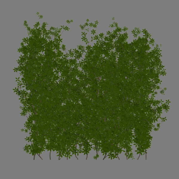 Creeper Plants vol 100