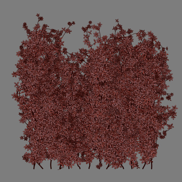 Creeper Plants vol 100