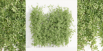 Creeper Plants vol 100-Blender