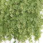Creeper Plants vol 100-Blender