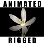 Crocus Asumaniae