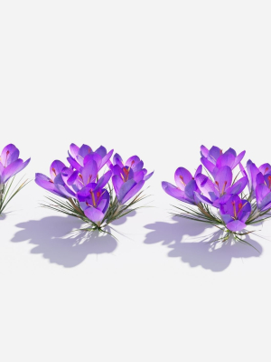 crocus-flower-3d-model-ec62653522