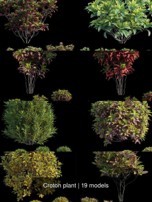 croton-plant-3d-model-e56f7d55f0