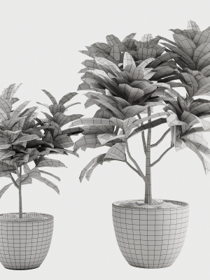 croton-plants-01-3d-model-max-obj-3ds