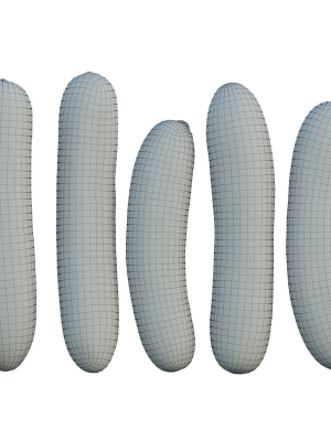 cucumber-07-3d-model-max-obj-fbx-mat