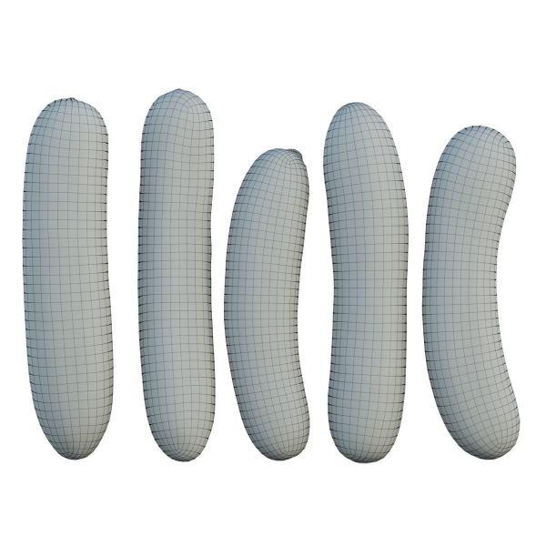 Cucumber 07