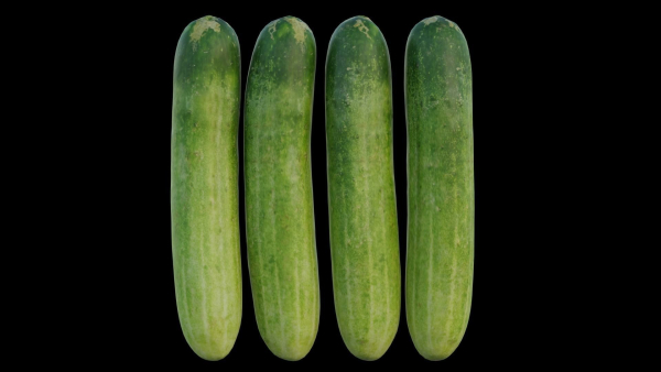 Cucumber 07