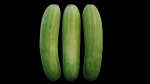 Cucumber 07