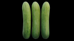 Cucumber 07