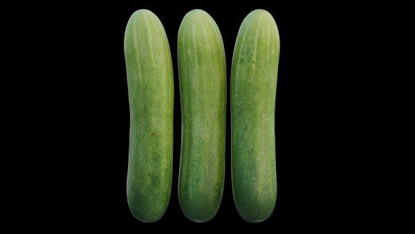 Cucumber 07