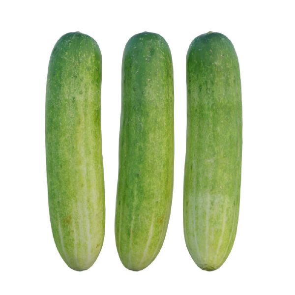 Cucumber 07