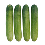 Cucumber 07