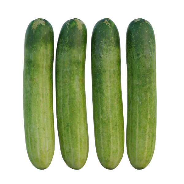 Cucumber 07