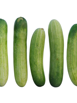 Cucumber 07
