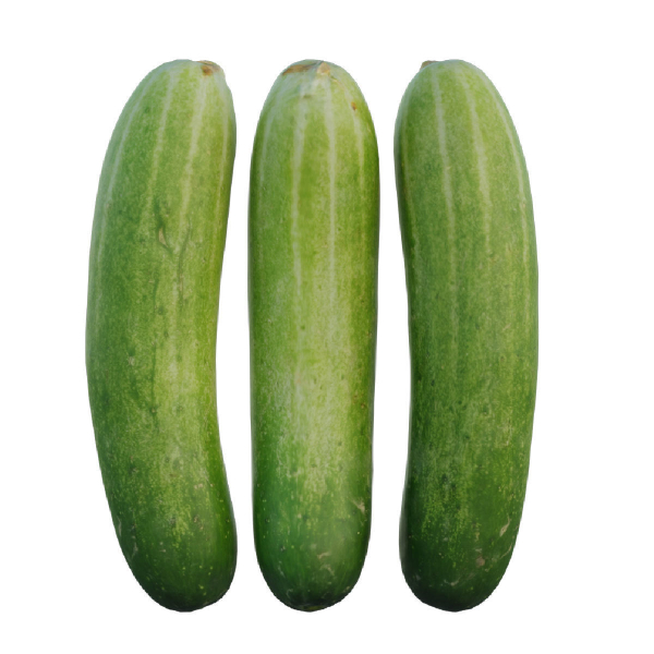Cucumber 07