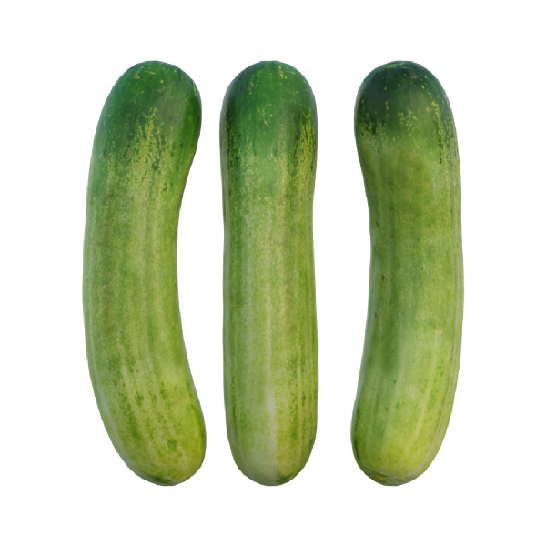 Cucumber 07
