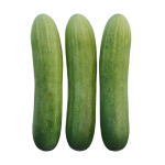 Cucumber 07