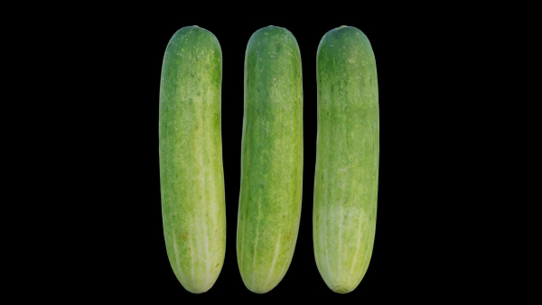 Cucumber 07