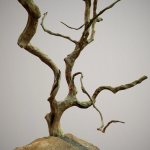 Curly tree Scan Low poly
