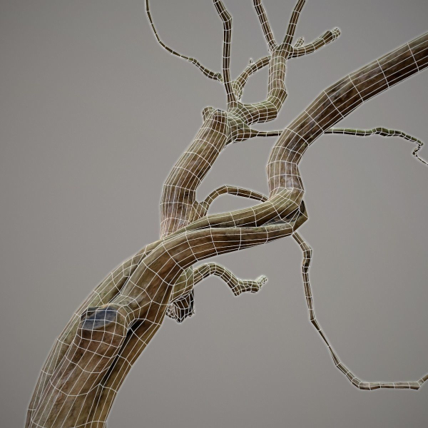 Curly tree Scan Low poly