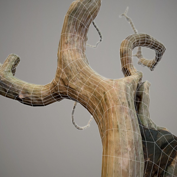 Curly tree Scan Low poly