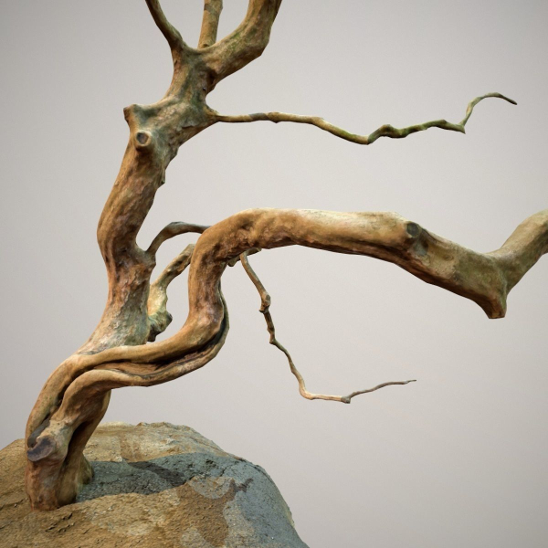 Curly tree Scan Low poly
