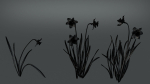 Daffodil Flower Kit  VFX Grace
