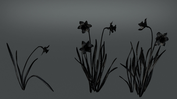 Daffodil Flower Kit  VFX Grace