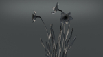 Daffodil Flower Kit  VFX Grace
