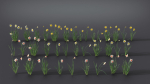 Daffodil Flower Kit  VFX Grace