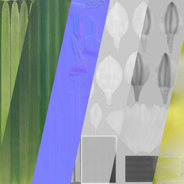 Daffodil Flower Kit  VFX Grace