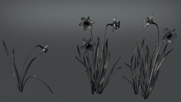 Daffodil Flower Kit  VFX Grace