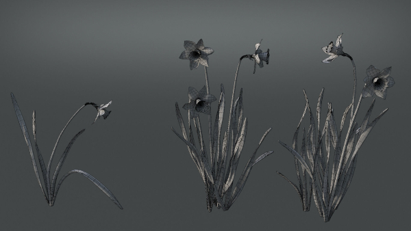 Daffodil Flower Kit  VFX Grace
