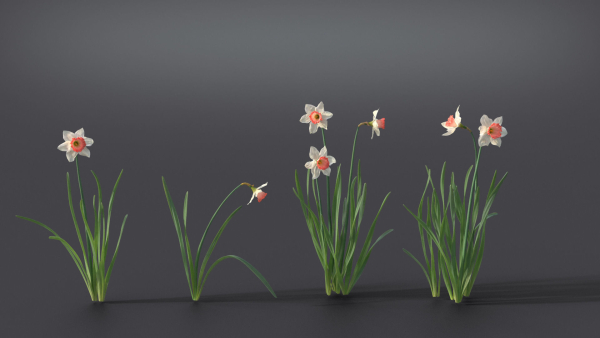 Daffodil Flower Kit  VFX Grace