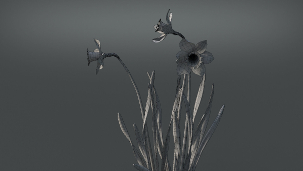 Daffodil Flower Kit  VFX Grace
