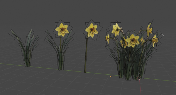 Daffodil Spring Flower