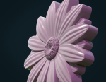 Daisy