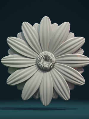 Daisy