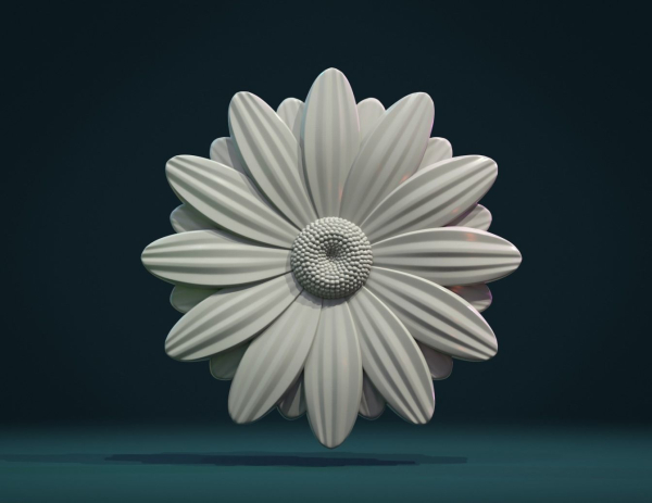Daisy