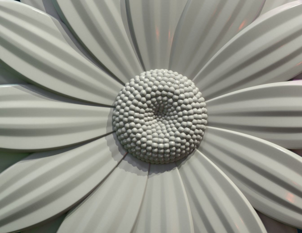 Daisy