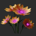 daisyflower daisies - daisies