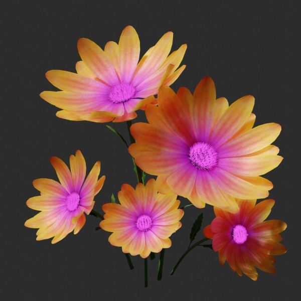 daisyflower daisies - daisies