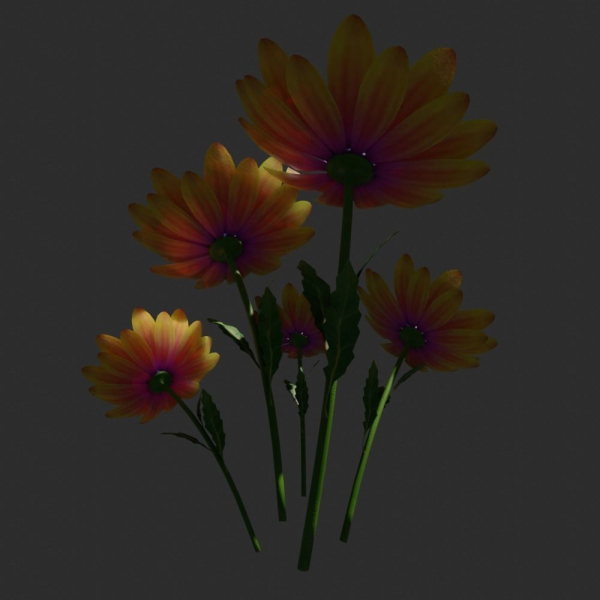 daisyflower daisies - daisies