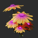 daisyflower daisies - daisies
