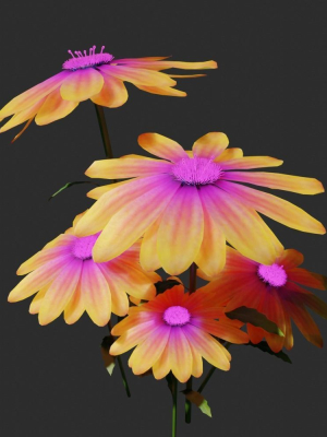daisyflower-3d-model-fb411f6fa2