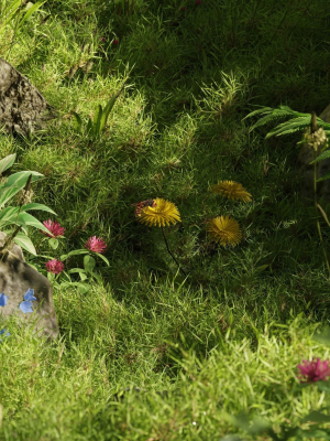 Dandelion Clouse-Up nature scene