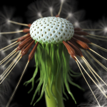 Dandelion Photoreal
