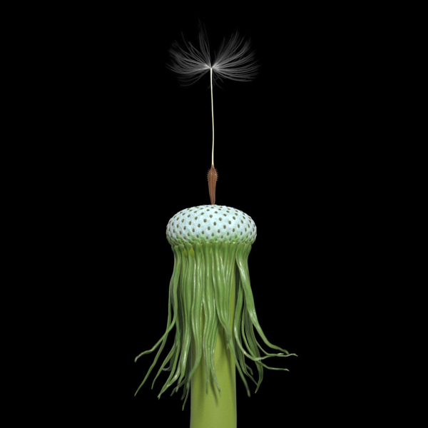 Dandelion Photoreal